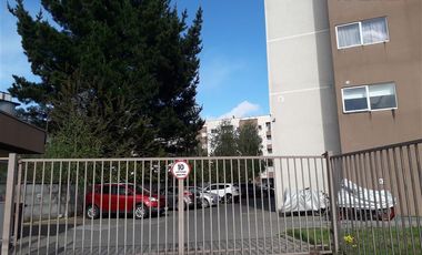 Departamento en Arriendo en Los Carrera - Francisco Encina