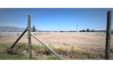 Arriendo de sitio de 3.000 m2, en San Pedro, Quillota.