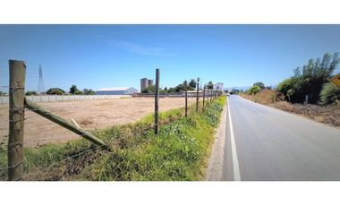 Arriendo de sitio de 3.000 m2, en San Pedro, Quillota.