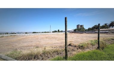 Arriendo de sitio de 3.000 m2, en San Pedro, Quillota.