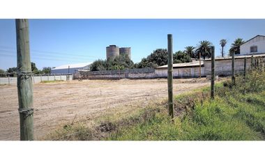 Arriendo de sitio de 3.000 m2, en San Pedro, Quillota.