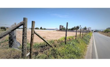 Arriendo de sitio de 3.000 m2, en San Pedro, Quillota.