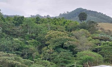 APARTA ESTUDIO EN ARRIENDO EN AV ALBERTO MENDOZA/MANIZALES