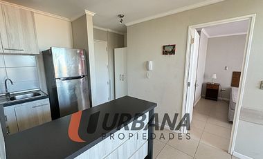 ARRIENDO ALTO SERENA IV AÑO CORRIDO