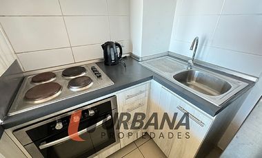 ARRIENDO ALTO SERENA IV AÑO CORRIDO