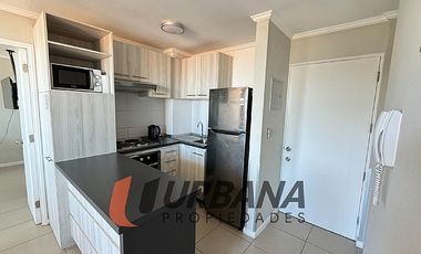 ARRIENDO ALTO SERENA IV AÑO CORRIDO
