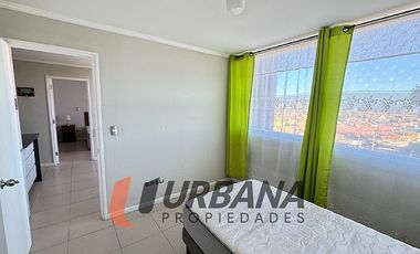 ARRIENDO ALTO SERENA IV AÑO CORRIDO