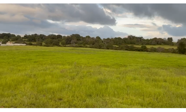 Venta de 3 Lotes en Huasca de Ocampo