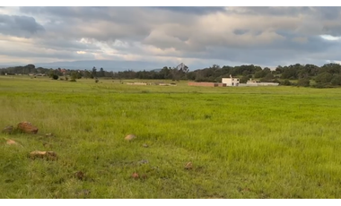 Venta de 3 Lotes en Huasca de Ocampo