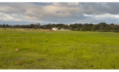 Venta de 3 Lotes en Huasca de Ocampo