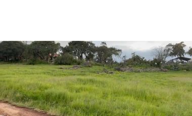 Venta de 3 Lotes en Huasca de Ocampo