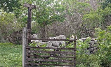 Terreno de 250 Hectáreas carretera Tetiz- Celestún