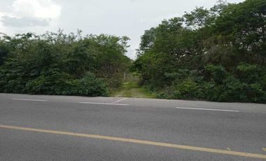 Terreno de 250 Hectáreas carretera Tetiz- Celestún