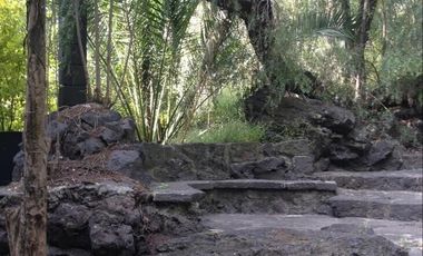 Casas, Town Houses y Departamentos en Coyoacan
