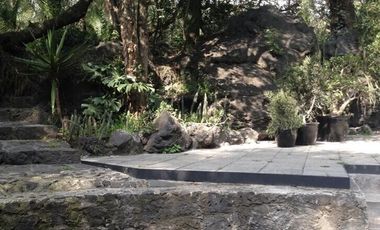 Casas, Town Houses y Departamentos en Coyoacan