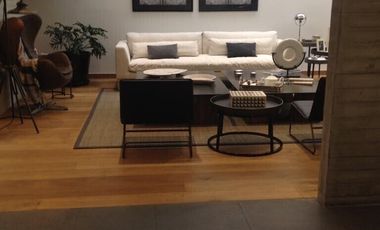 Casas, Town Houses y Departamentos en Coyoacan