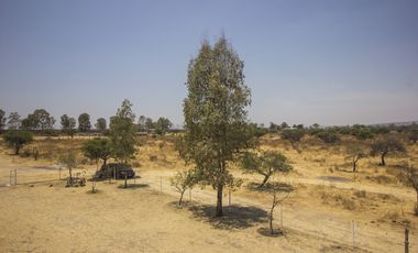 Se vende rancho en unión de san Antonio Jalisco