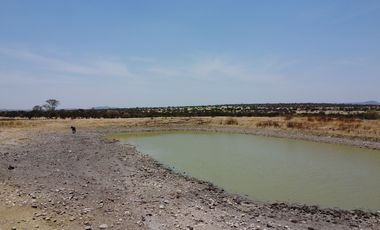 Se vende rancho en unión de san Antonio Jalisco