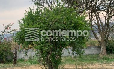 Venta Finca Barrio de Santiaguito, Zumpahuacán, Estado de México