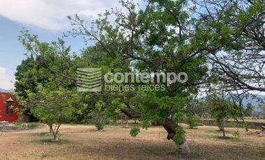 Venta Finca Barrio de Santiaguito, Zumpahuacán, Estado de México