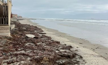 Terreno en zona de Baja del Mar a unos metros del mar