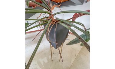 casa moderna de 4 habitaciones POBLADO MEDELLIN San Lucas