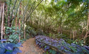 Apartamento en venta en Sabaneta sector Asdesillas