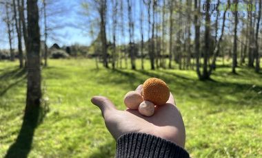 Parcela en Venta en A 1 km de Cañitas