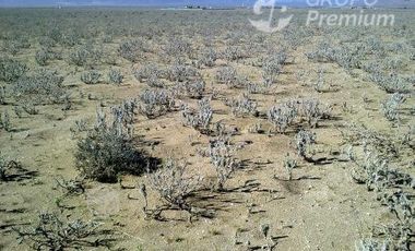 Parcela en Venta en Los Choros