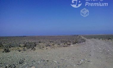 Parcela en Venta en Los Choros