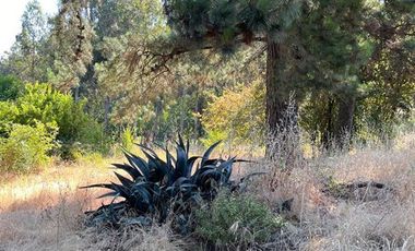 Casa en Venta en Peñaflor Viejo, Rio Claro, Región del Maule