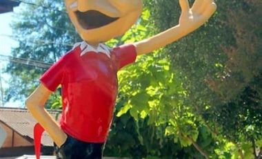 Parcela en Venta en Entre Cumpeo y El Bolsico