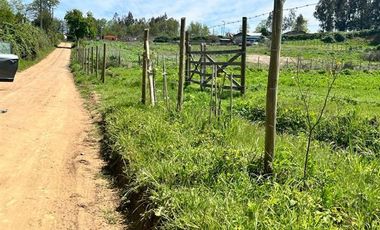 Parcela en Venta en Entre Cumpeo y El Bolsico