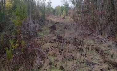 Parcela en Venta en Tarapaca