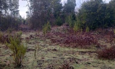 Parcela en Venta en Tarapaca