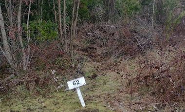 Parcela en Venta en Tarapaca