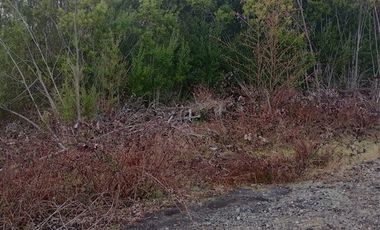 Parcela en Venta en Tarapaca