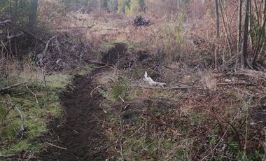 Parcela en Venta en Tarapaca