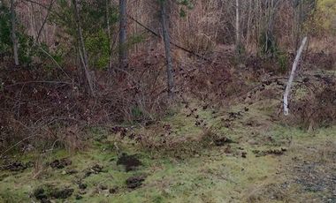 Parcela en Venta en Tarapaca