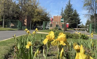 Casa en Venta en PARQUE RESIDENCIA LT-D 5 A GOLF LOS LIRIOS