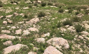 Terreno en Venta Carretera Colotán