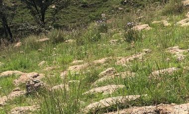 Terreno en Venta Carretera Colotán