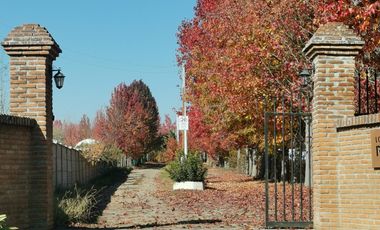 PARAISO DE CANTERIA, CAMINO A TERMAS, MARAVILLOSA PARCELA