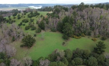 SE VENDE FUNDO EN SECTOR TRANAPUENTE DE 12,3 HAS