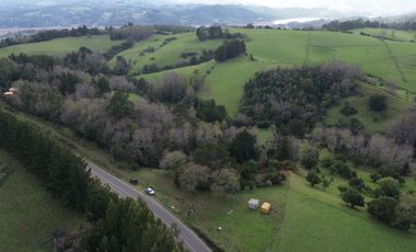 SE VENDE FUNDO EN SECTOR TRANAPUENTE DE 12,3 HAS