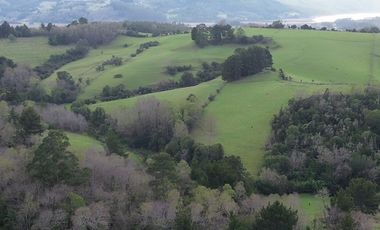 SE VENDE FUNDO EN SECTOR TRANAPUENTE DE 12,3 HAS