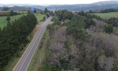 SE VENDE FUNDO EN SECTOR TRANAPUENTE DE 12,3 HAS