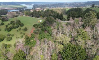 SE VENDE FUNDO EN SECTOR TRANAPUENTE DE 12,3 HAS