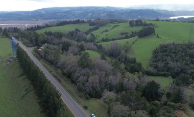 SE VENDE FUNDO EN SECTOR TRANAPUENTE DE 12,3 HAS