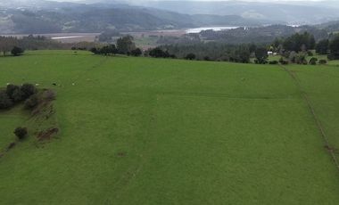 SE VENDE FUNDO EN SECTOR TRANAPUENTE DE 12,3 HAS